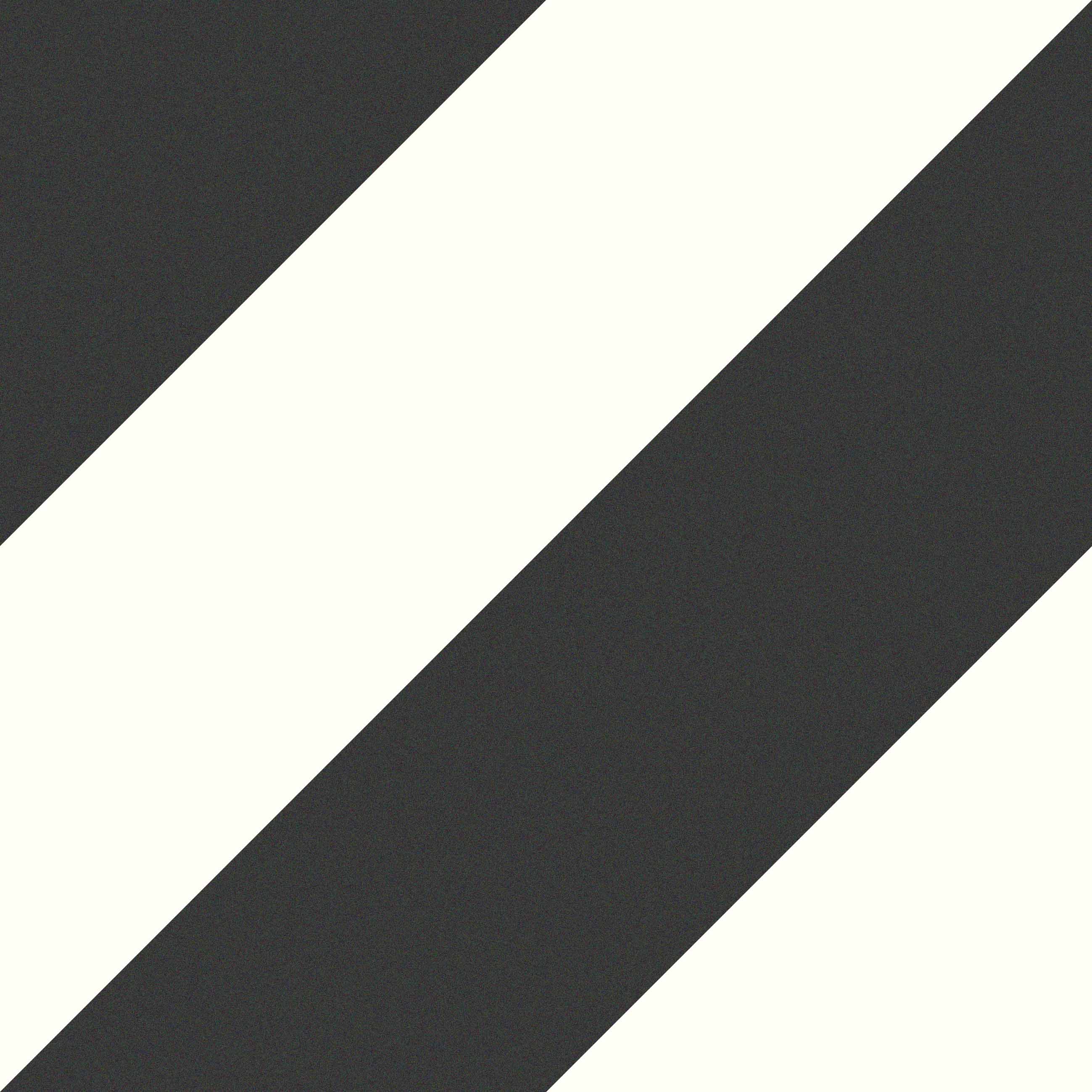 EC.ZEBRA BLACK-WHITE 