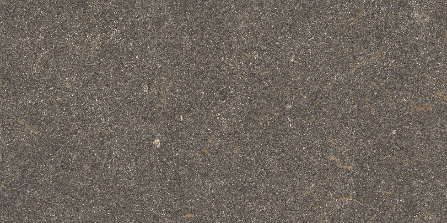 swiper-c12-slide-img