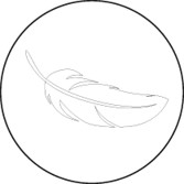 section-single-product-icon-img