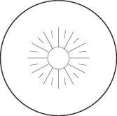 section-single-product-icon-img